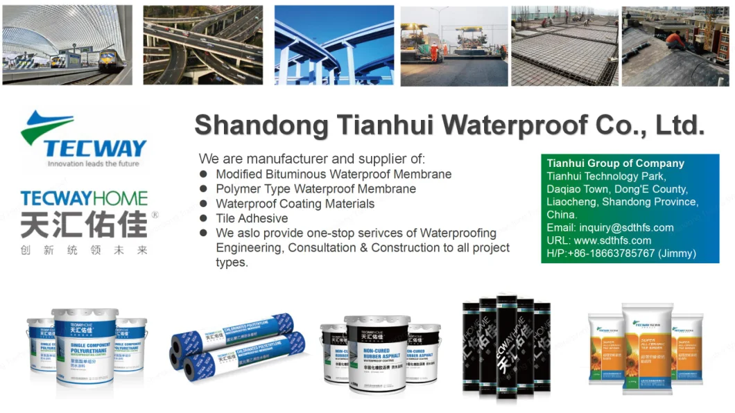 Js Polymer Cement Water Base Waterproof Coating of High Quality Waterproofing Coating Material