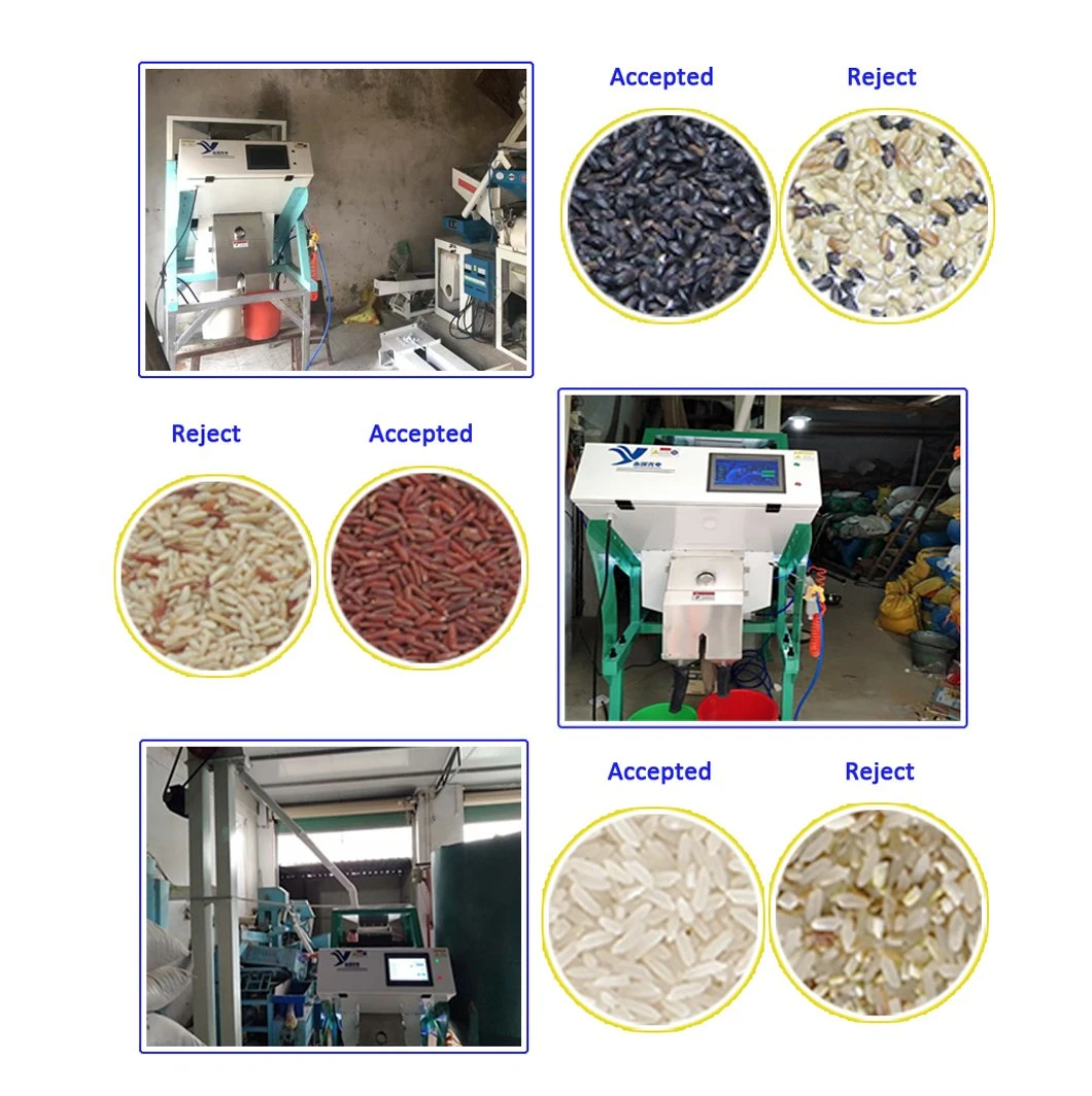 7 Chutes Automatic White Red Black Rice Color Sorter Rice Select Machine
