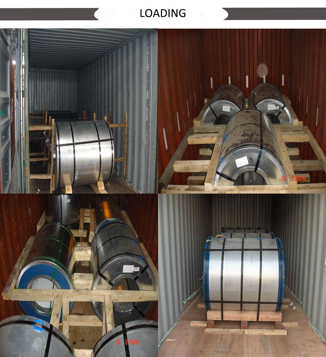 Prime Quality PE Coating Color Coated Galvanized Steel Coil