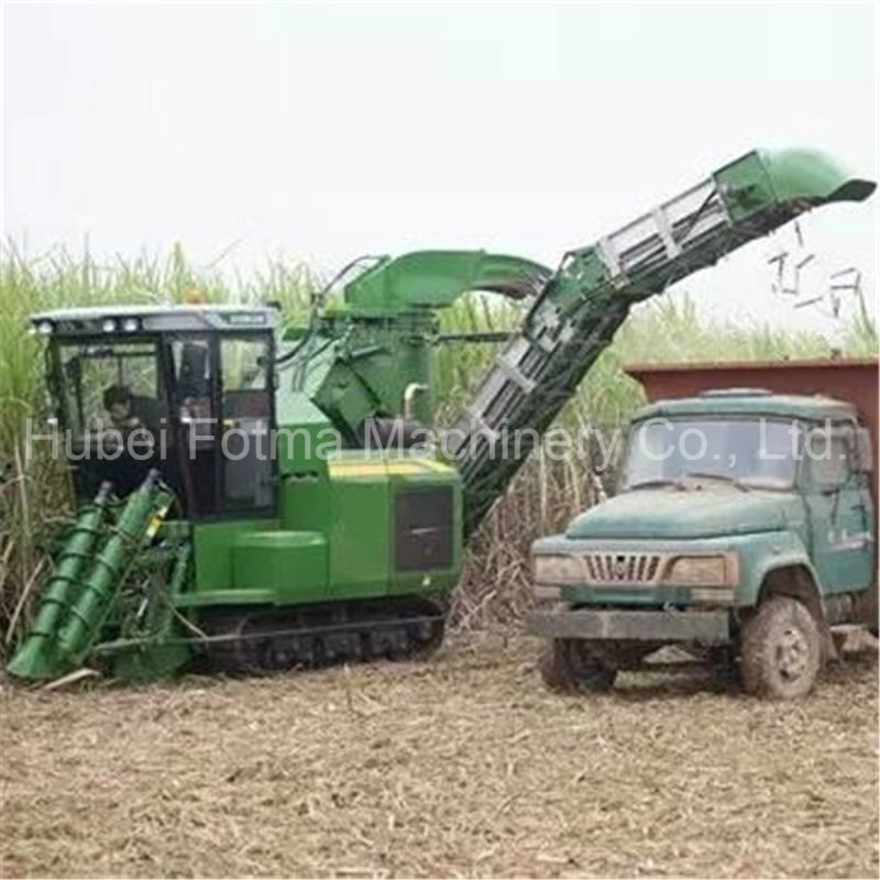 Crawler Sugarcane Harvesting Machine Sugarcane Combine Harvester (AS60)