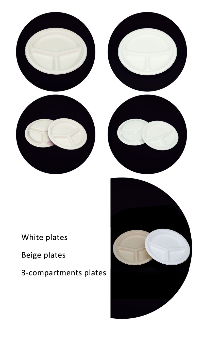 9" 10" Round Square FDA Sugarcane Plate Disposable Biodegradable Sugarcane Bagasse Plates