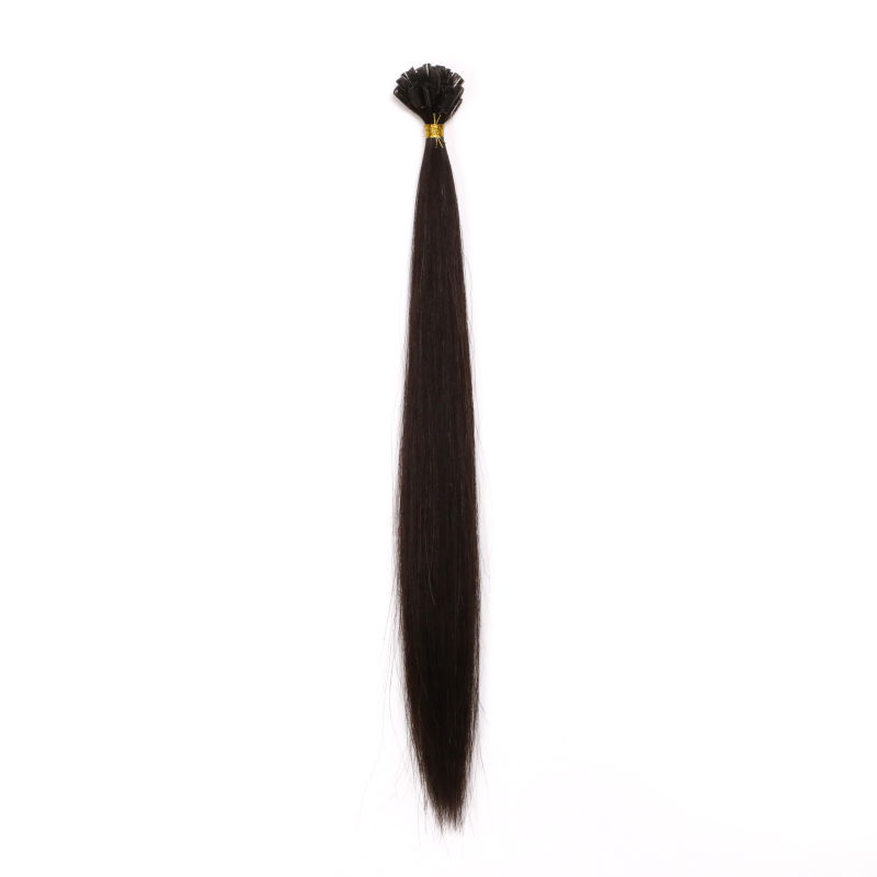 Silk Straight Natural Long 20inch Remy Human Virgin Hair Extension U Tip Hair