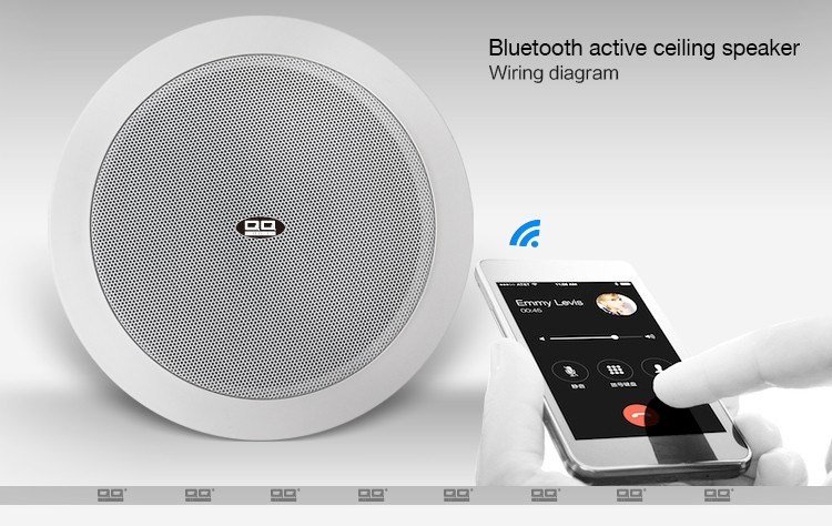 Professional Ceiling Mount Wireless Bluetooth Speaker