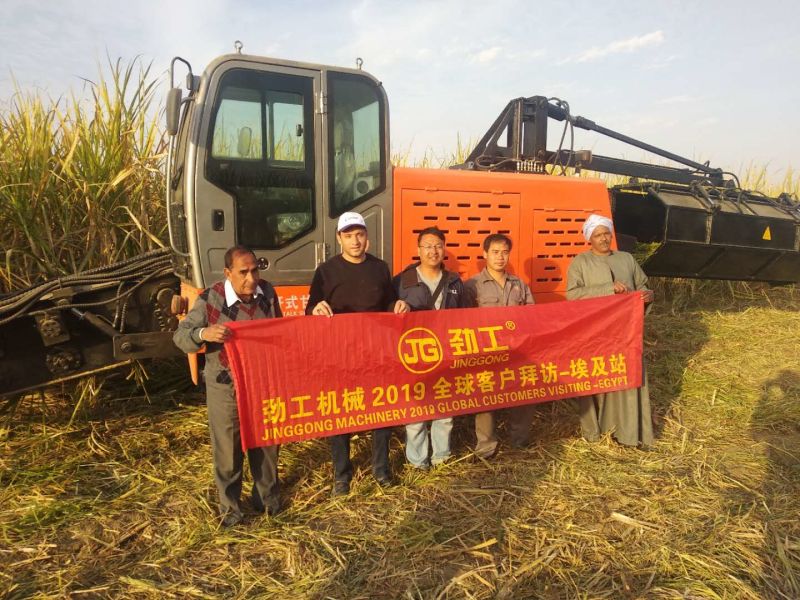 Combine Whole Stalk Sugarcane Harvester Sugar Cane Harvester for Sale