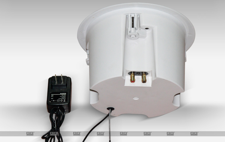 Professional Ceiling Mount Wireless Bluetooth Speaker
