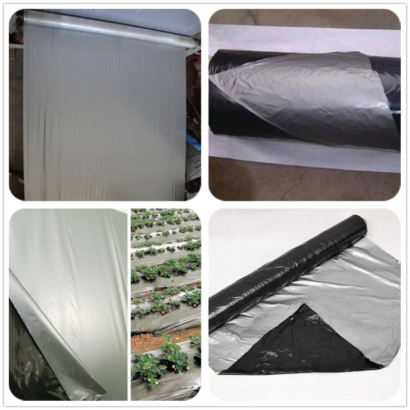 20mic 25mic Silver Black Mulch Film/Black Silver Mulch Film