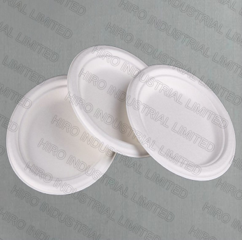 10 Inch Compartment Round Bagasse Plate with Eco-Friendly Biodegradable Sugarcane