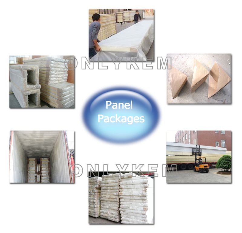 100mm CFC-Free PU Sandwich Panel for Cold Room