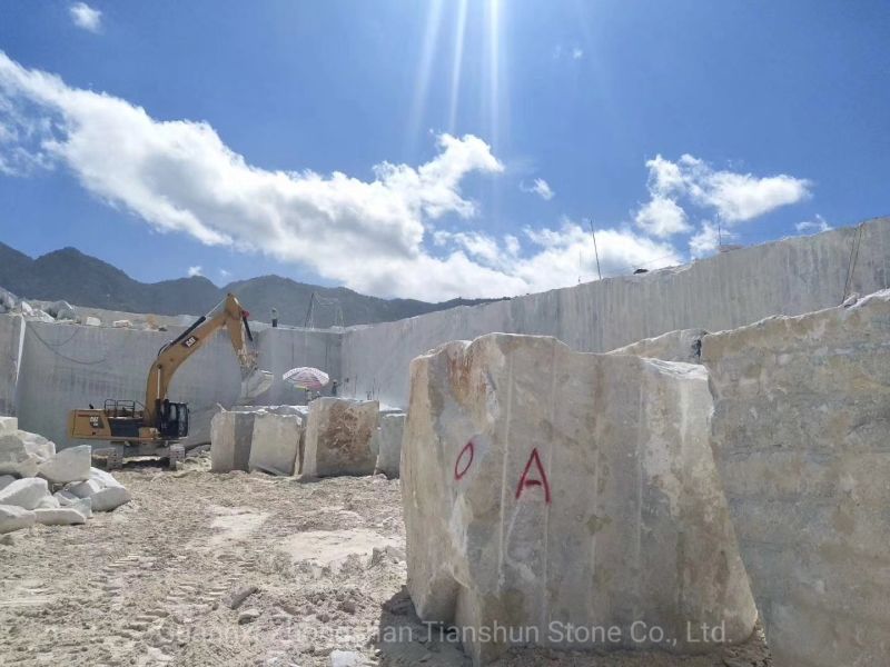 Raw Marble Slab Stone Cutting 36X36'' Italian White Marble Slab Bianco Carrara