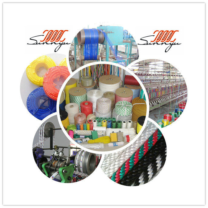 Nylon Rope Diamond Braided Rope PP Nylon Ropes Polyester Ropes Plastics Rope