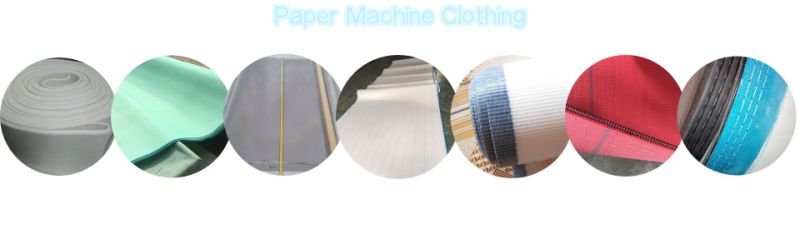 Felt Conveyor for Corrugated Paper Machine Fieltro PARA Papel Ondulado