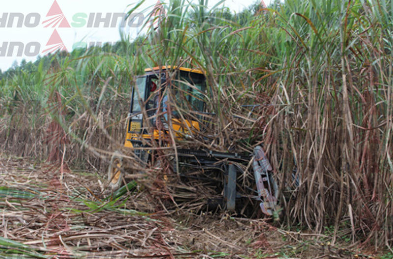 Advanced Hydraulic System Mini Sugar Cane Cutting Machine / Sugar Cane Harvester for Sale