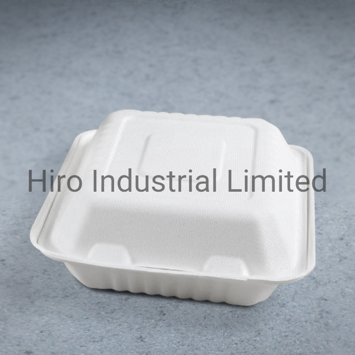 8 Inch Bleach Sugarcane/Bagasse Clamshell Food Box