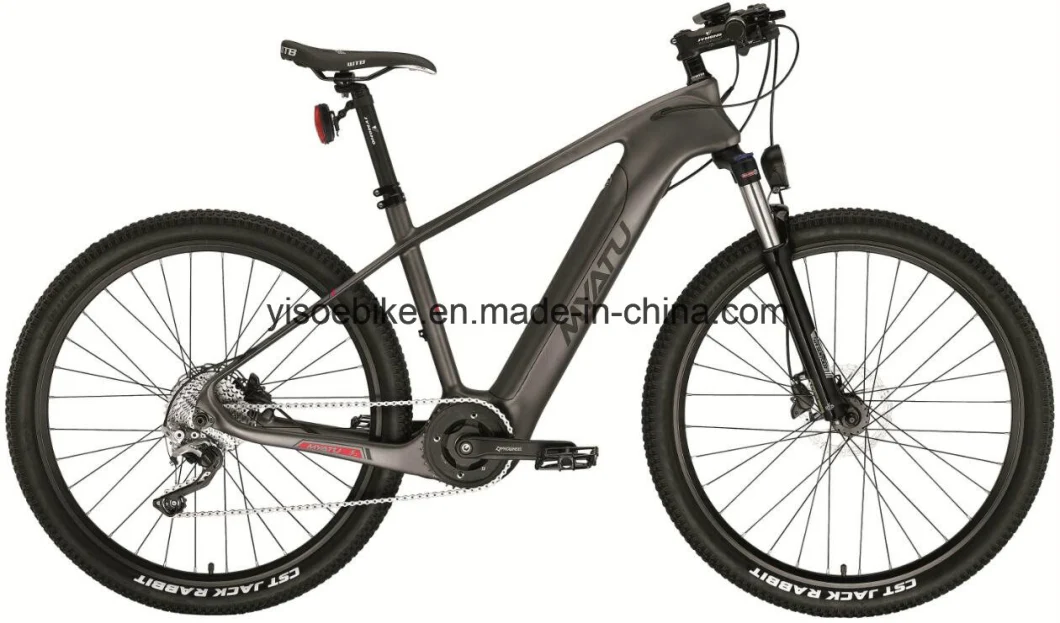 20 Inch Carbon Fibre Frame Importer Electric Bicycle with Yuebo T300 MID Driver Motor