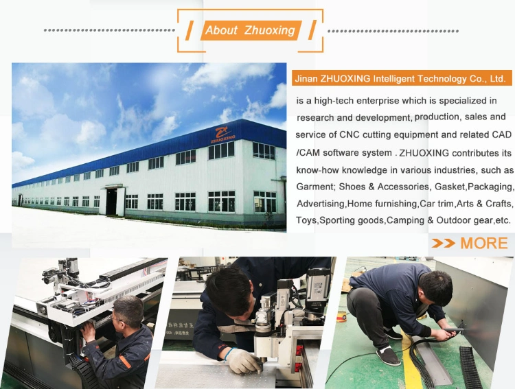 China Zhuoxing Oscillating Knife Graphite Gasket CNC Cutting Machine
