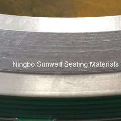 Spiral Wound Gaskets with Inner and Outer/Wound Gaskets/Graphite Gaskets/Metal Gaskets (SUNWELL)