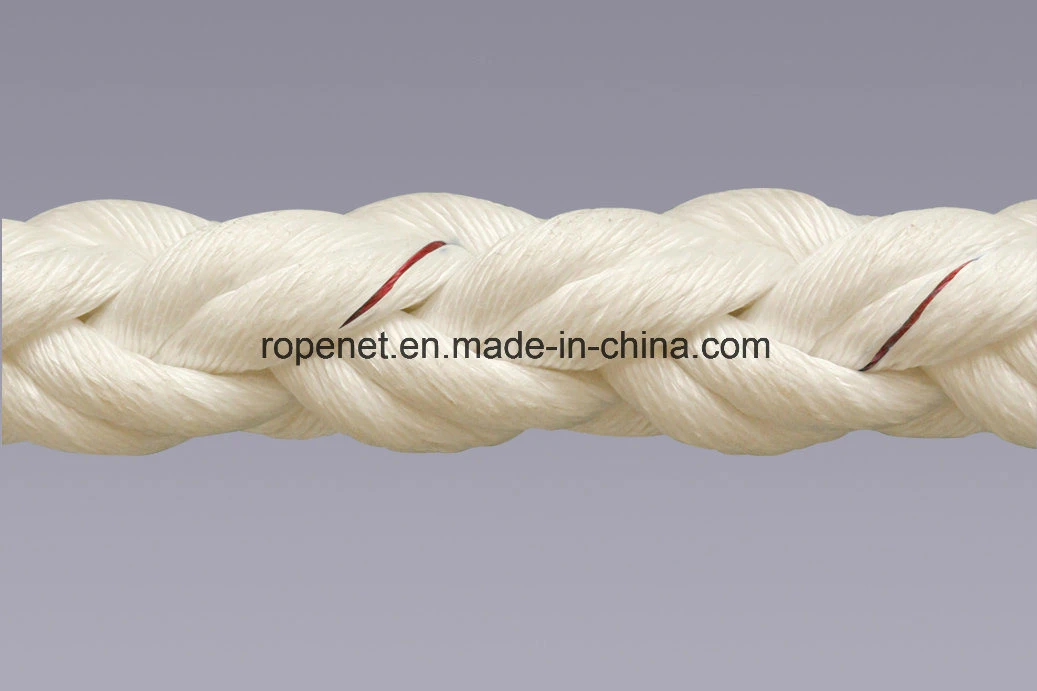 Polypropylene PP/PE Danline Braided Hawser Ropes Nylon Mixed Polyester Ropes for Mooring and Fishing Tow Plastic Rope Factory 3/8/12strand China