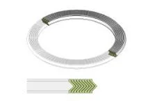 Class150 Graphite Filler Spiral Wound Gasket with Outer Ring