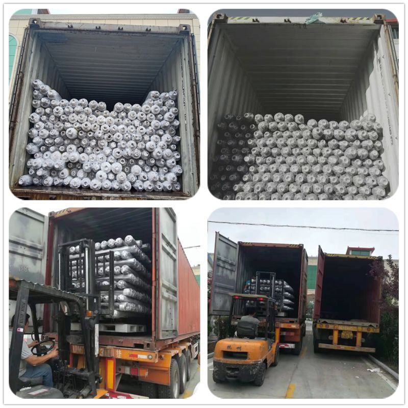 Anti-UV Silver Black Film/ Weeding Silver Black Film for Ground Cover