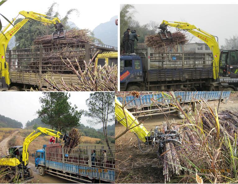 Rhinoceros Sugarcane Loader Sugar Cane Loader Wheel Excavator for Sale 8ton 12ton