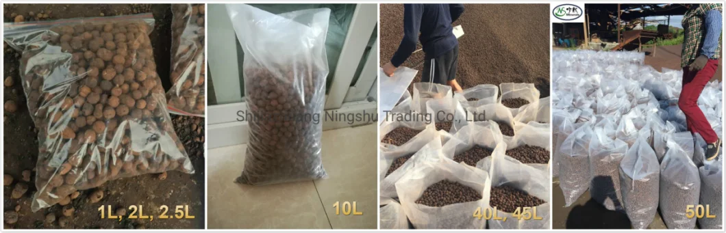 Leca Expanded Clay Balls Expanded Clay Pellets Expanded Clay Pebble for Hydroponic