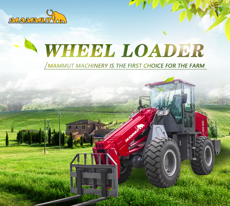 China Wheel Loader Telescopic with Sugar Cane Attachments for Sale