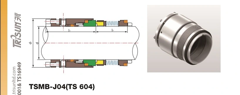 AES Bsfg Bellows Single Full Graphite Cartridge Seal Mechanical Seal
