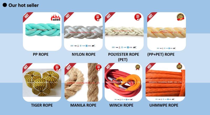 High Quality Ropes Nylon Fishing Net/Shade/Safety/Fishing Net