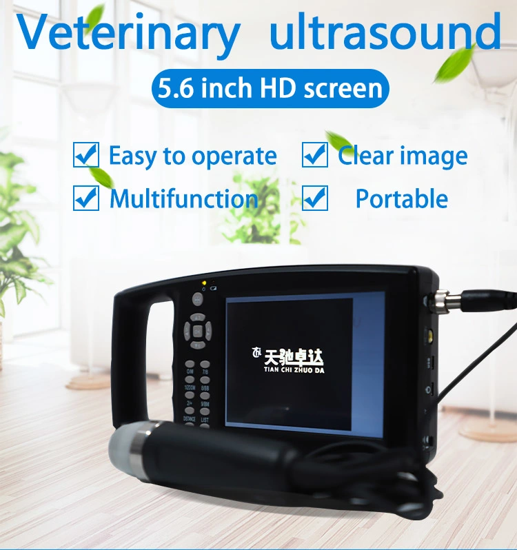 High Quality Medical Use Digital Micro-Convex Handhold Medical Instrument Veterinary Medical Equipment Ultrasound for Livestock