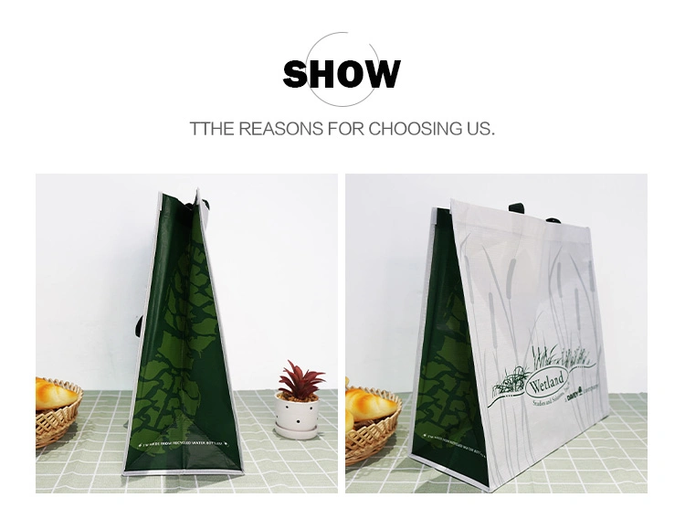 Reusable Chinese Factory Cheap Fashion Eco-Friendly Laminated Polypropylene Plastic PP Woven Shopping Bags