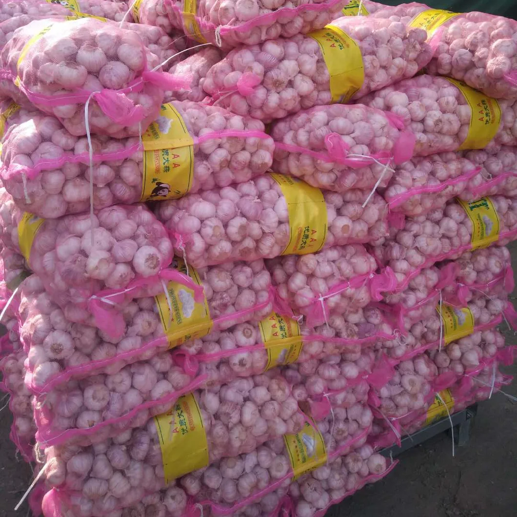 Chinese Wholesale Clove Fresh Garlic in Mesh Bag