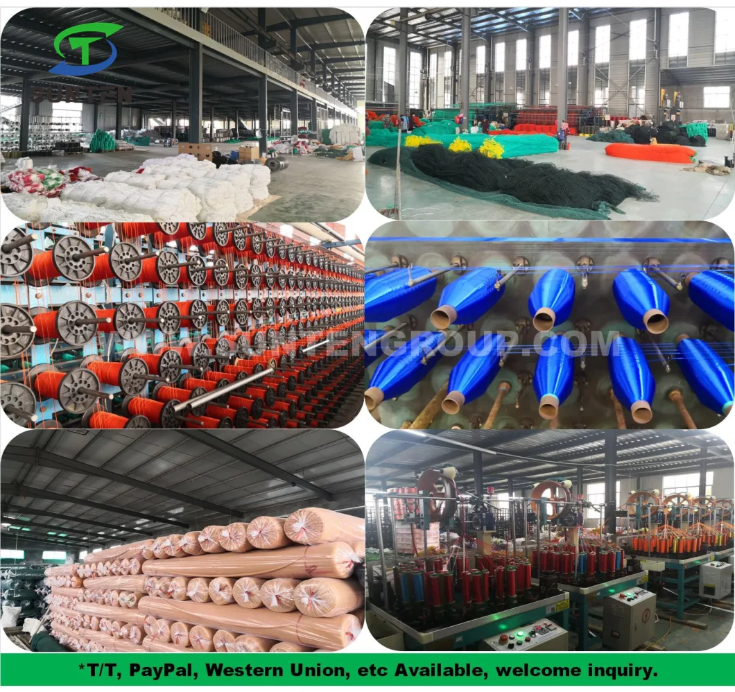 Factory Price Rainbow Color Polyester Knotless Cargo Climbing Netting, Fall Arrest Netting, Safety Catch Netting in Construction Sites, Amusement Park