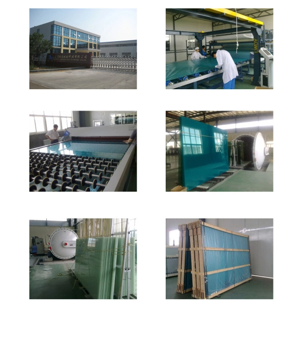 Tempered Laminated Safety Glass/Tempered Laminated Glass/Laminated Tempered Glass