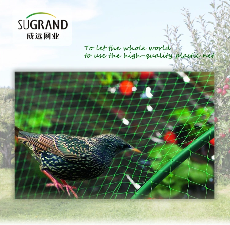 45GSM Square Mesh Bird Netting/ Heavy Duty Bird Netting