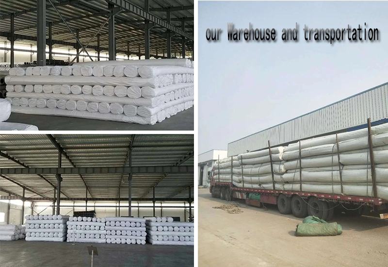 2020 Hot Sale Building Construction Material Fiberglass Geogrid with Good Prices