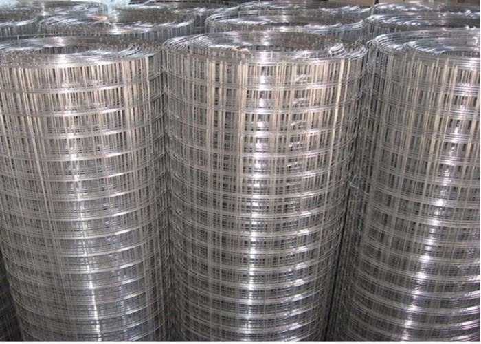 Electric Galvanized Carbon Steel Welded Wire Mesh High Quality with High Quality