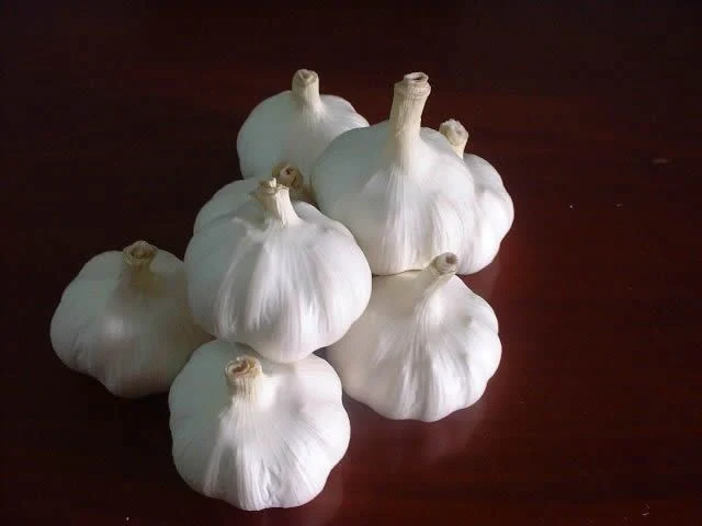 Chinese White Garlic 10kg 20kg Mesh Bag