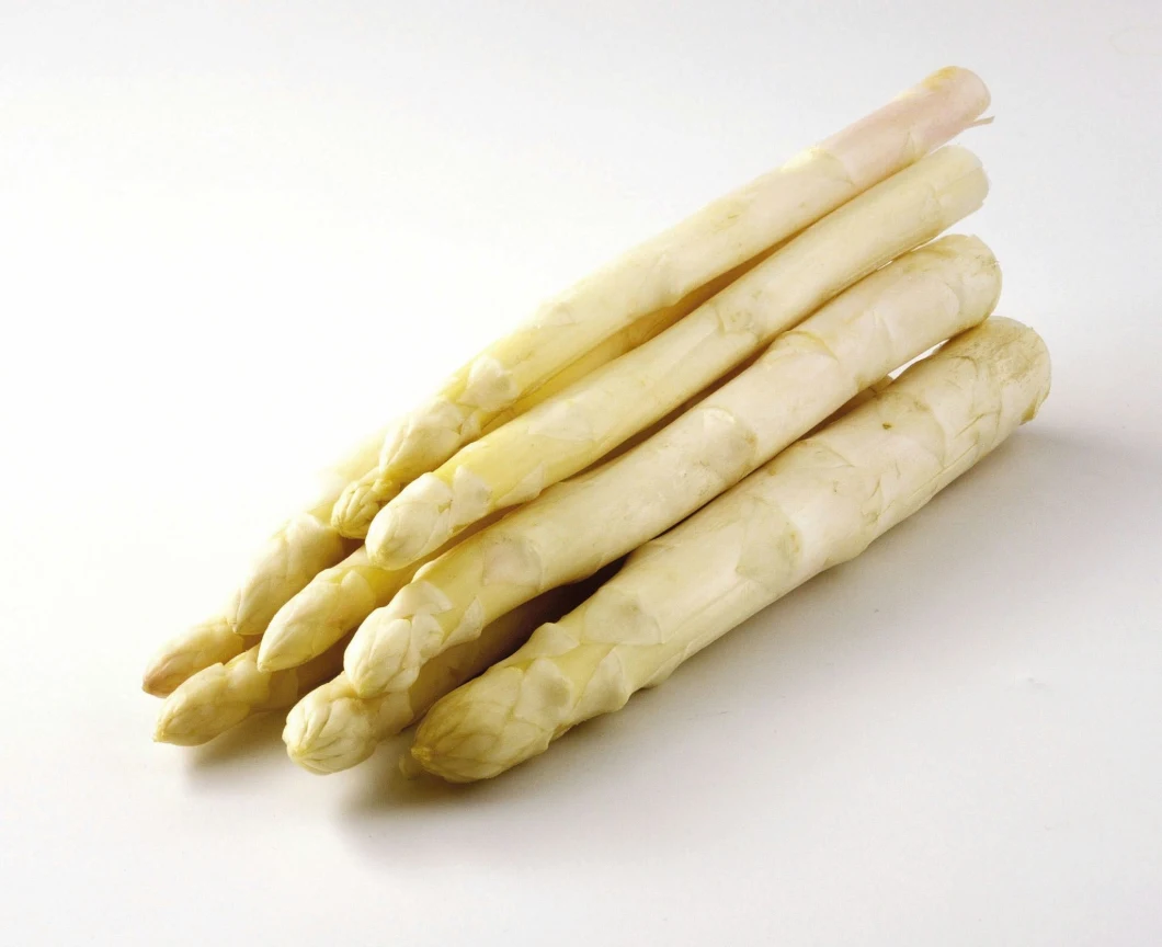 Chinese New Crop High Quality Frozen Chinese White Asparagus IQF Asparagus Manufacturer