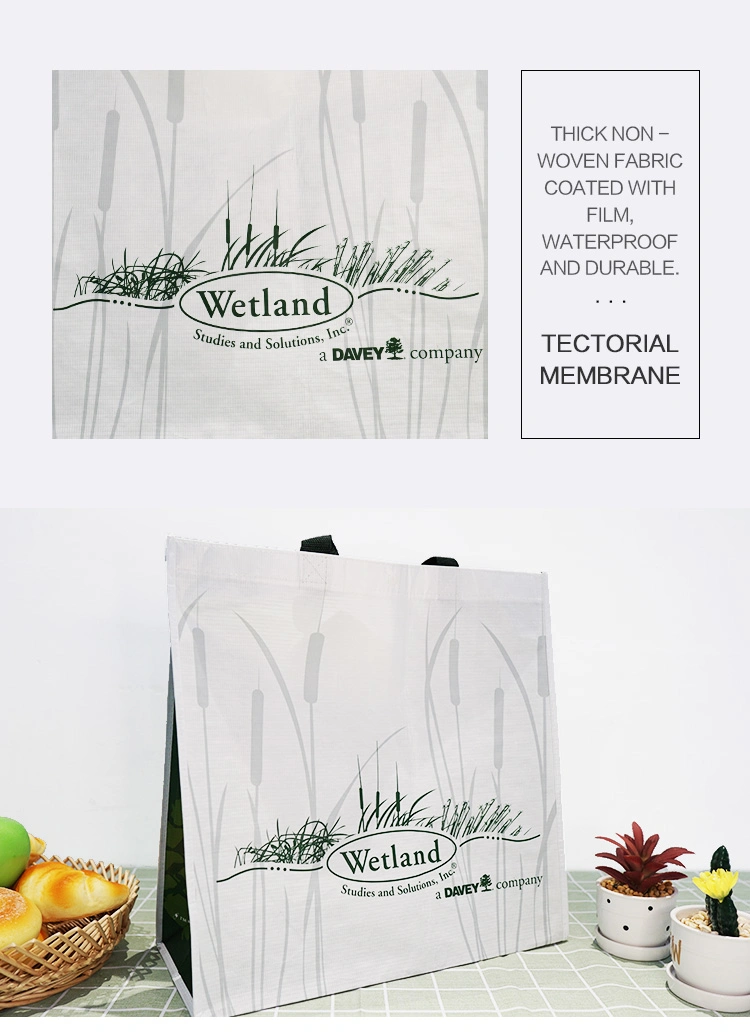 Reusable Chinese Factory Cheap Fashion Eco-Friendly Laminated Polypropylene Plastic PP Woven Shopping Bags