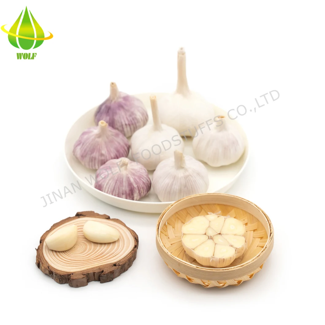 Chinese Garlic Exporter 10kg Mesh Bags Cartons Red Garlic