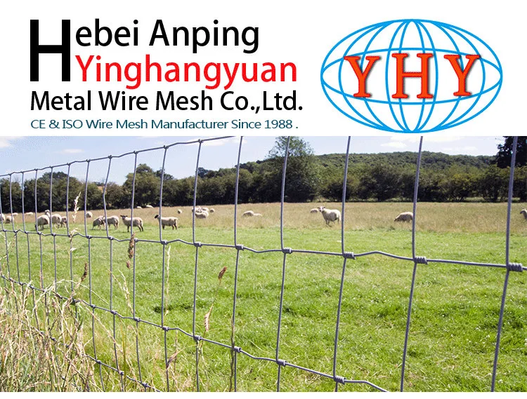 Low Carbon Galvanized Steel Wire Mesh White Farm Fence