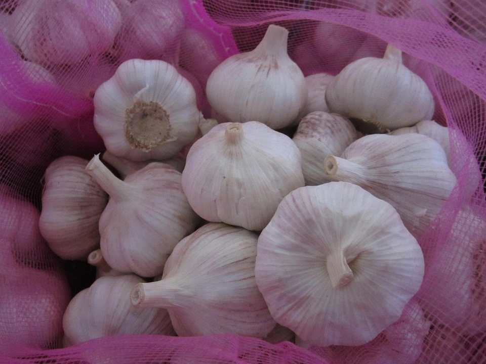 Chinese Fresh White Garlic in 10kg Mesh Bag