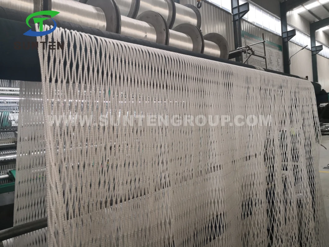 Super Quality Black Color Polyester Knotless Cargo Netting, Container Netting, Fall Arrest Netting, Safety Catch Netting in Construction Sites, Amusement Park