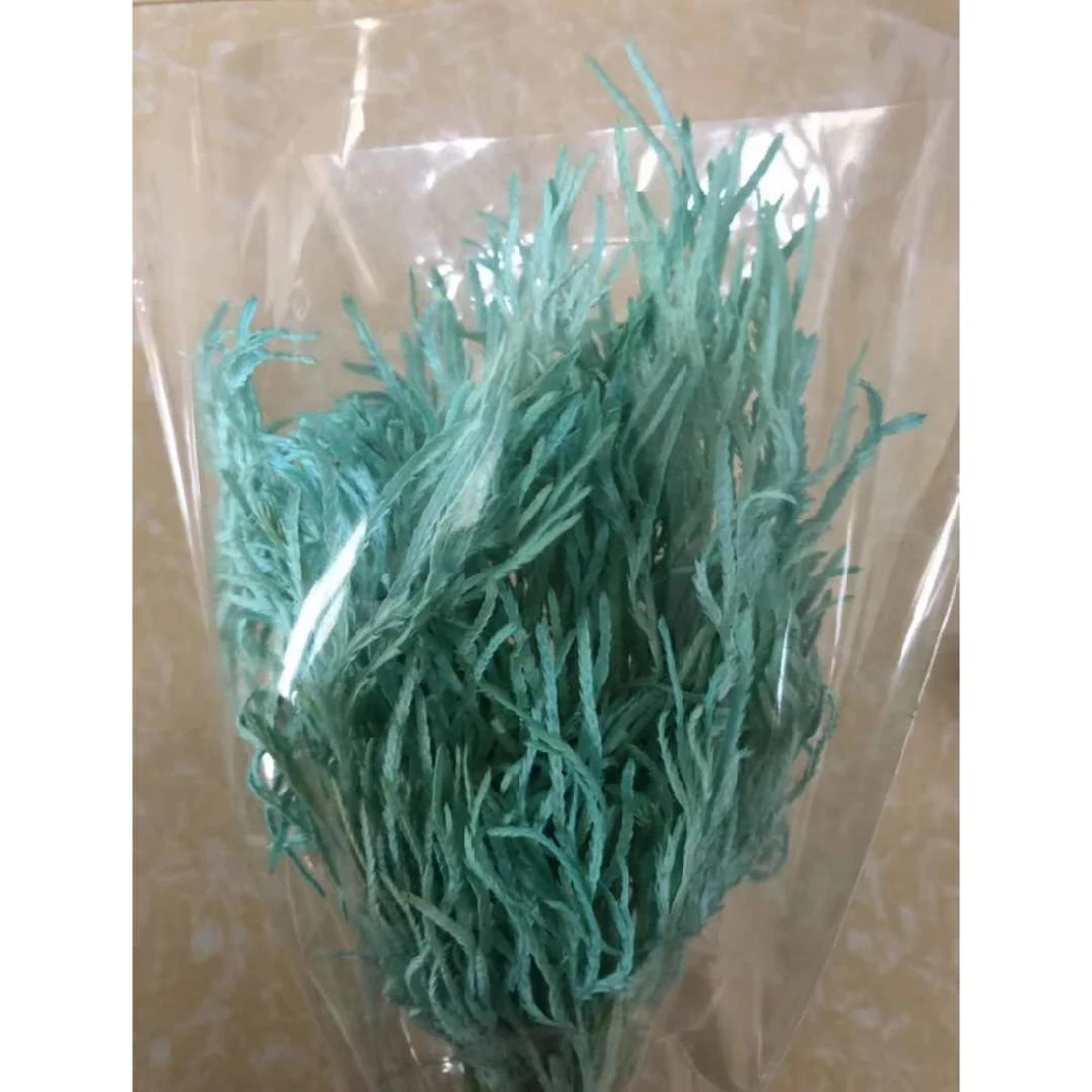 Reliable Chinese Supplier Blue Decorative Dried Euphorbia Chinensis Chinese Alpine Rush for Decoration