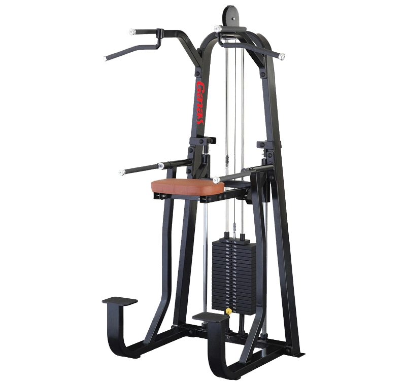 Guangdong Commercial Gym Equipment Kneeling Type DIP/Chin Assist