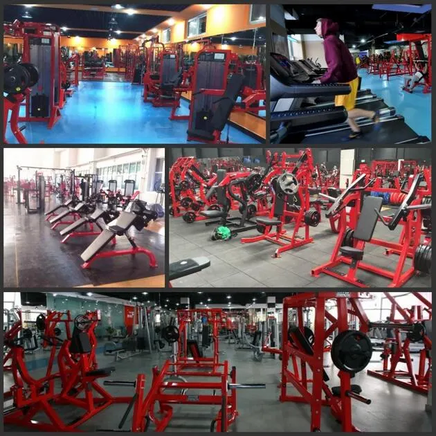 Dezhou Strongway Fitness Plate Loaded Gym Equipment Commercial Bodybuilding Cheat Press