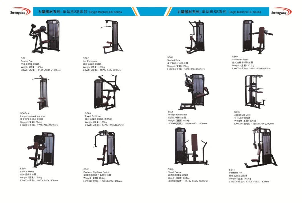 Gym Fitness Equipment Commercial Biceps Curl Machine Gym Fitness Equipment
