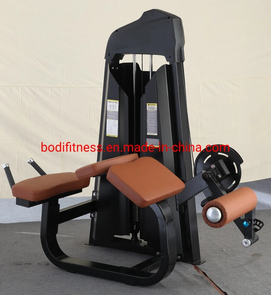 Factory Direct Sales Commercial Luxury Gym Equipment Exercise Camber Curl
