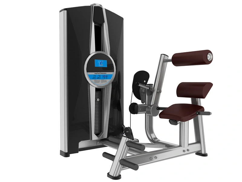 New Machine Fitness Machine/Hot Sale Gym Equipment/Back Extension /Tz-8006