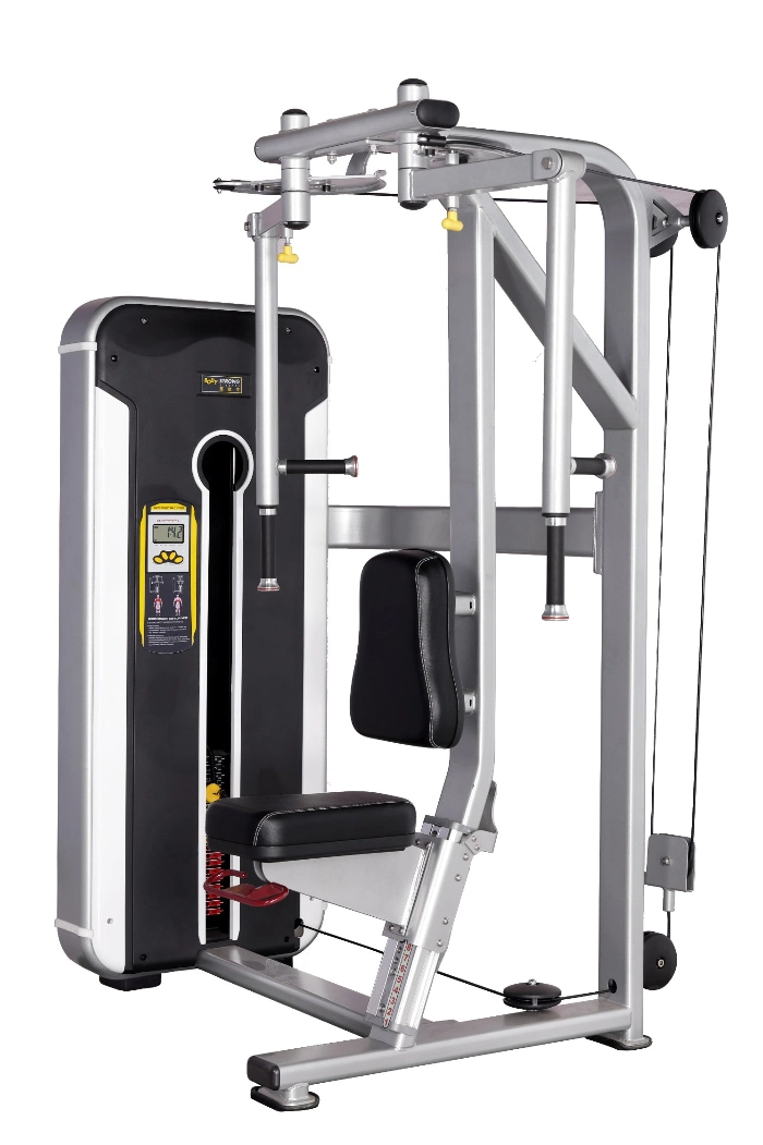 Pec Fly and Rear Delt Gym Strength Machines